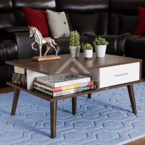 Halin Mid-Century Modern 2-Drawer Coffee Table